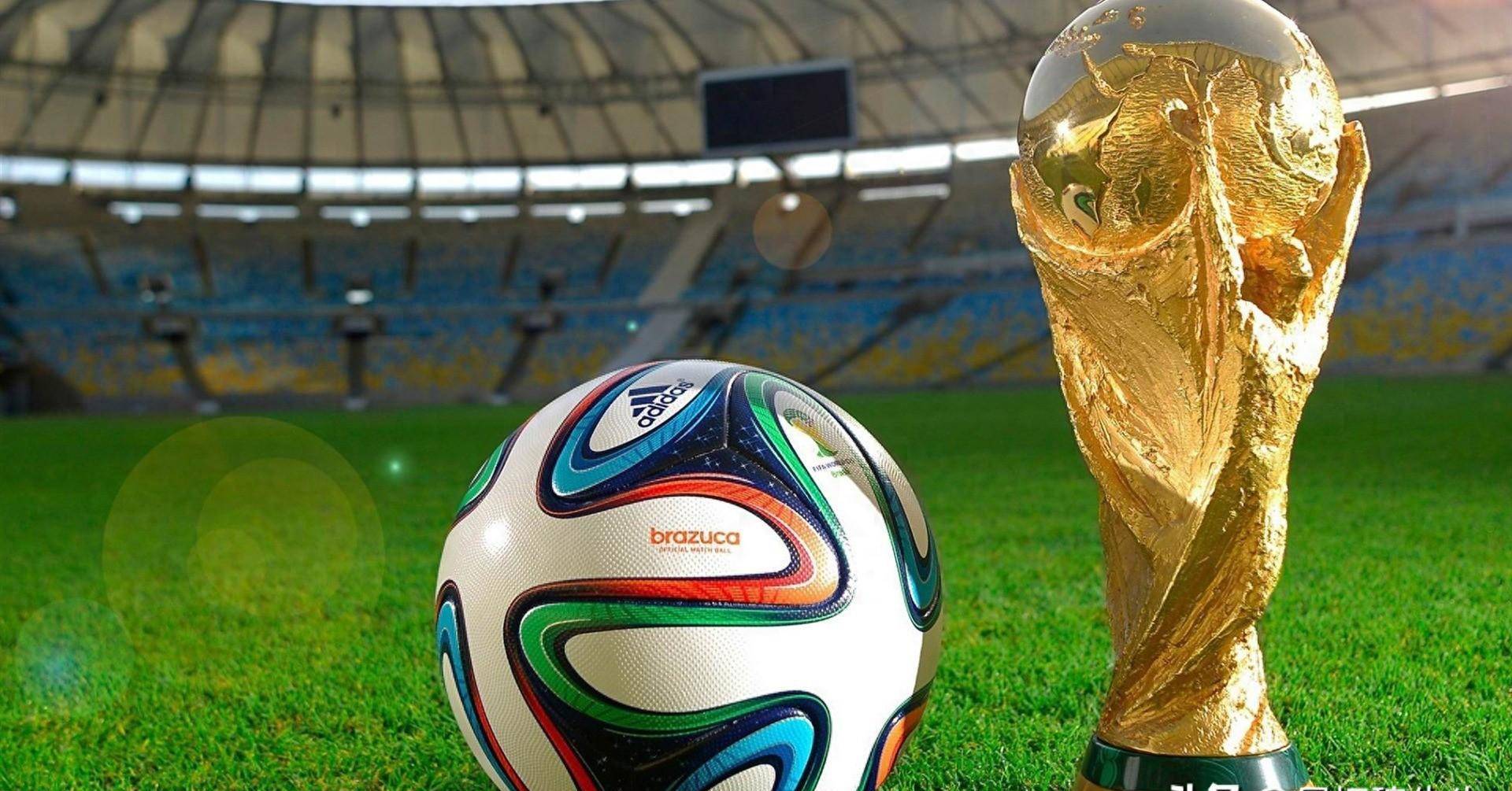 建设了多个 建设了多个